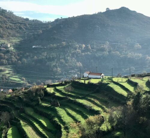 Les terrasses du petit Tibet portugais autour de Sistelo