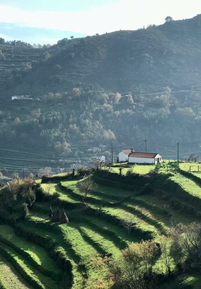 Les terrasses du petit Tibet portugais autour de Sistelo