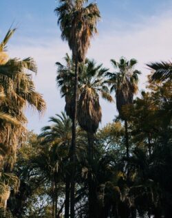 Les grottes de Nerja (Carrer de Bajada a Playa de Maro) près de Malaga