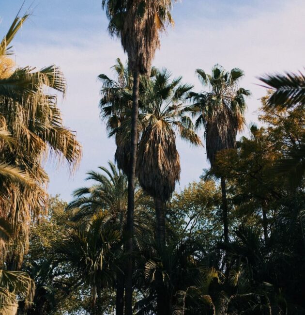 A l'extérieur de Malaga, le jardin de la Concepción est l’un des centres botaniques les plus importants d’Andalousie