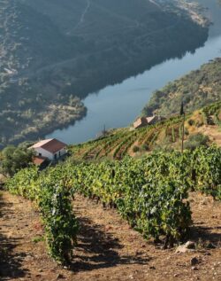 Afurada, village typique de pêcheur du nord du Portugal, sur la rive opposée à Porto