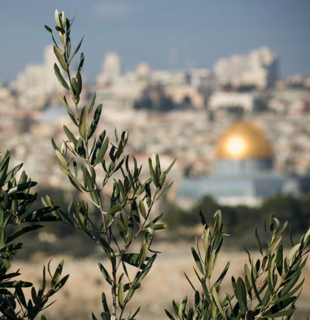 The Mount of Olives east of Jerusalem