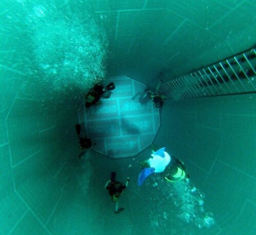 Divers in the Nemo33 pit in Uccle