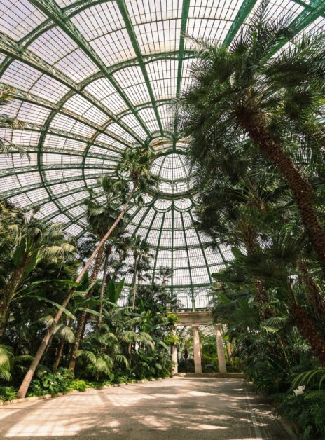 L'intérieur du botanique, ancien jardin devenu salle de concert à Bruxelles