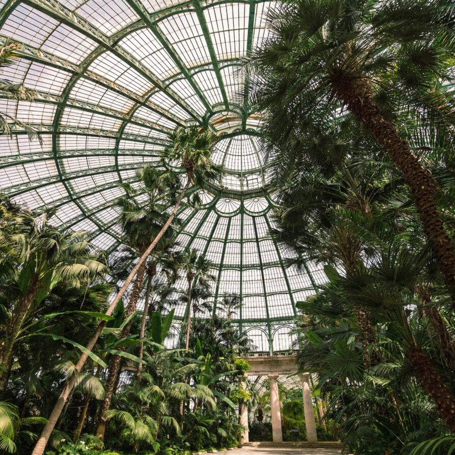 L'intérieur du botanique, ancien jardin devenu salle de concert à Bruxelles