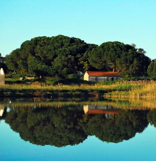 Une plage de la réserve naturelle de l'estuaire du Sado