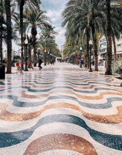 Palm trees in Alicante