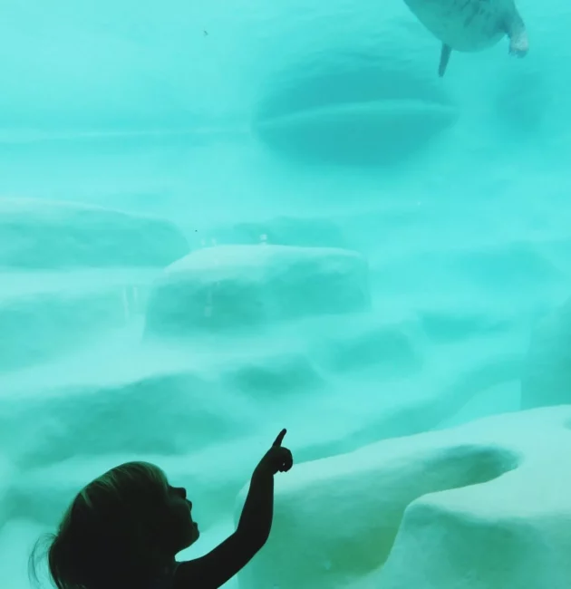 One of the pools of the Biarritz aquarium