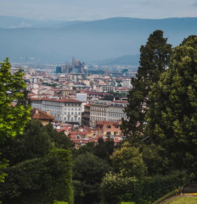 The trees of the Boboli garden