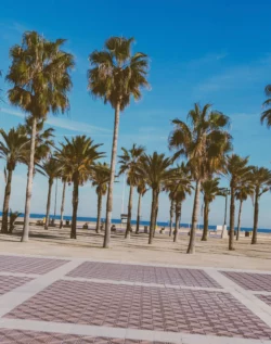 Le parc naturel de l’Albufera à 10km de Valence