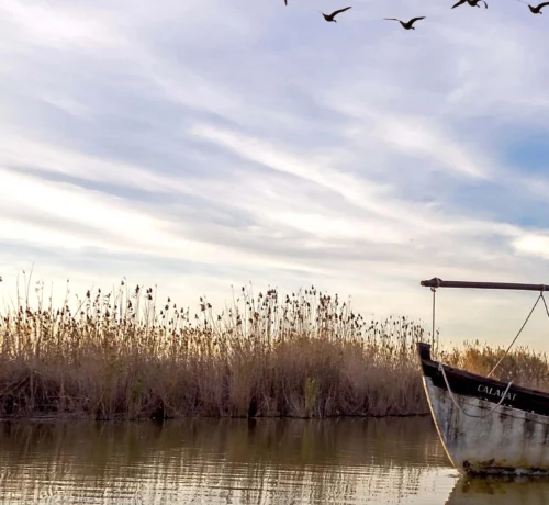 Le parc naturel de l’Albufera à 10km de Valence