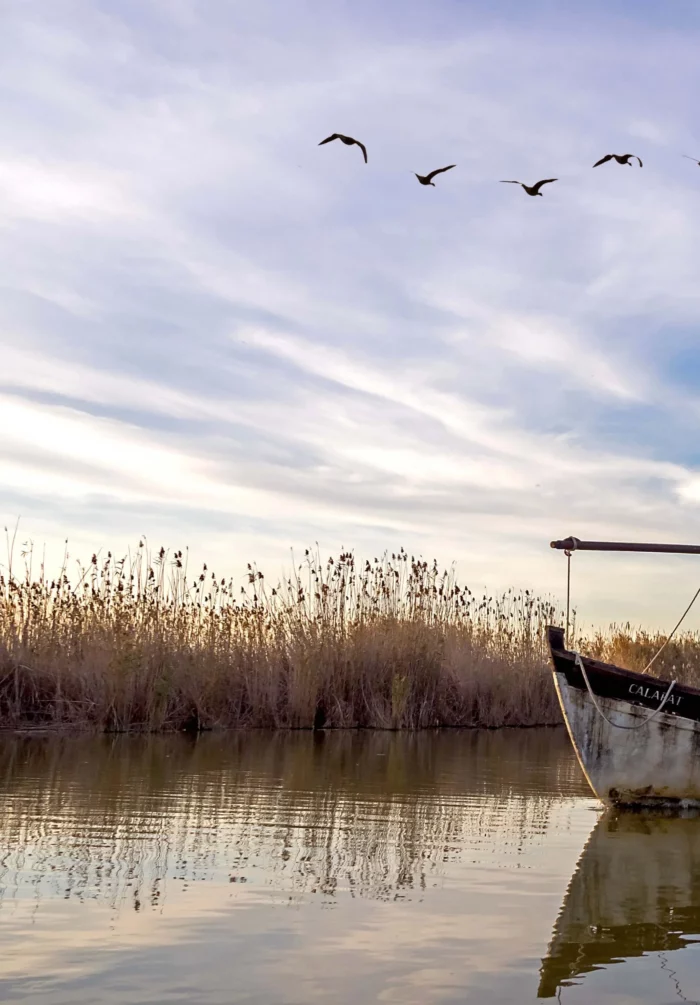 Le parc naturel de l’Albufera à 10km de Valence